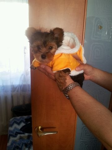 Natali Natali | Калининград