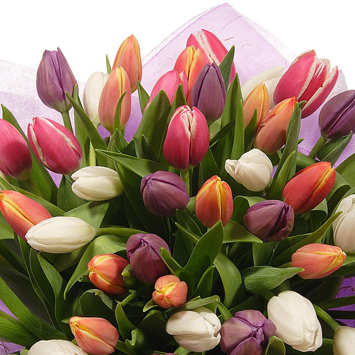 Татьяна Помогова | Санкт-Петербург