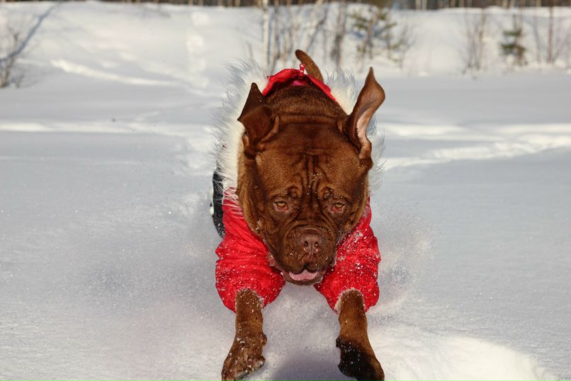Алексей Пепеляев | Краснокамск