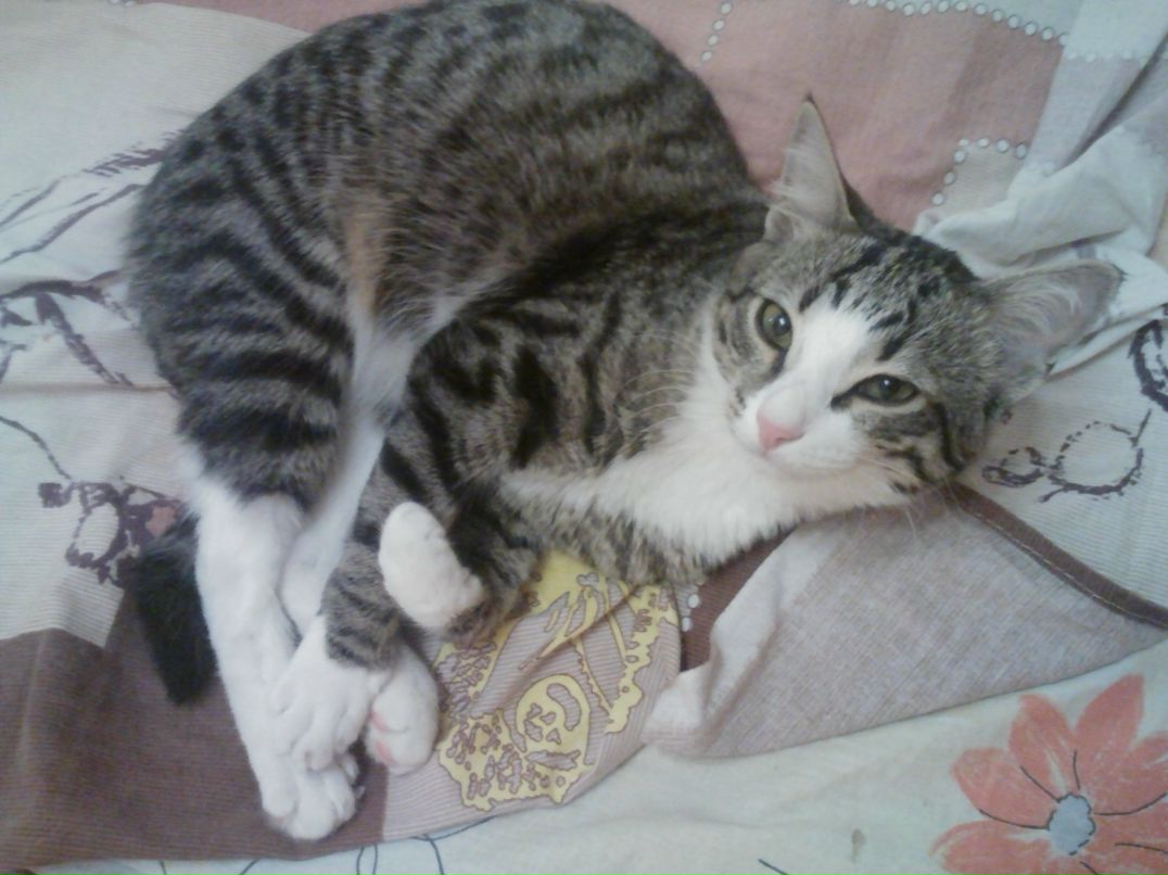 Ольга Павлова | Йошкар-Ола