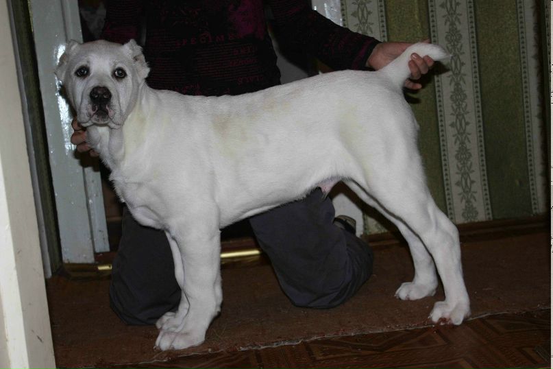 Виктория Никитина | Санкт-Петербург