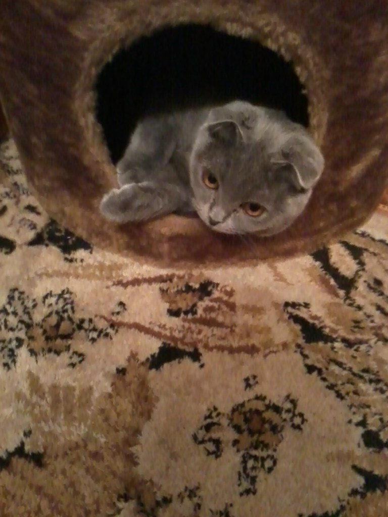 Антон Трубицин | Москва