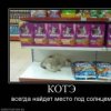 Аватар: Котэнчик Аверин