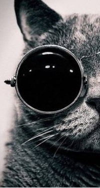 Артем Кригер