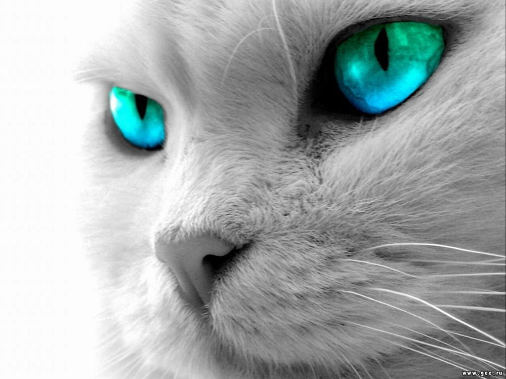 Юлия Митина | Якутск