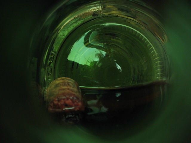 №9, Polina Govoren №9, Polina Govoren