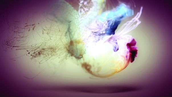 №9, Настя Гамаюнова №9, Настя Гамаюнова