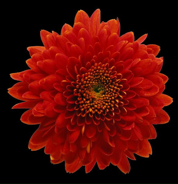 №64, Мария Ингиозова, 37 лет №64, Мария Ингиозова, 37 лет