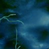 №23, Дарья Шевцова, 27.06.1995, Днепр (Днепропетровск) №23, Дарья Шевцова, 27.06.1995, Днепр (Днепропетровск)