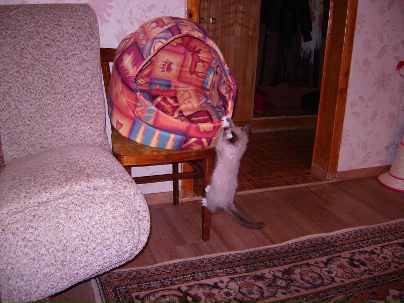 Илья Зюзин | Ярославль