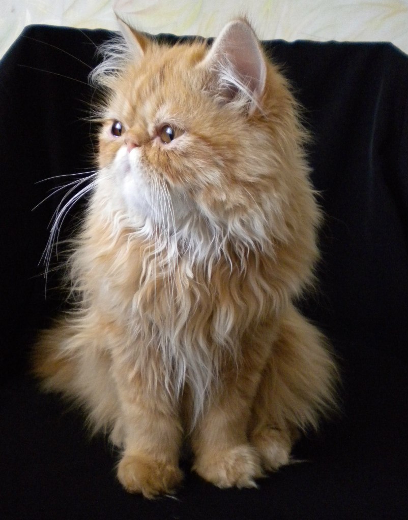 Юля Щербакова | Нижний Новгород