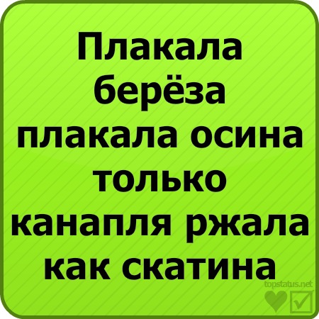 №146, Влада Львова, Мелитополь №146, Влада Львова, Мелитополь
