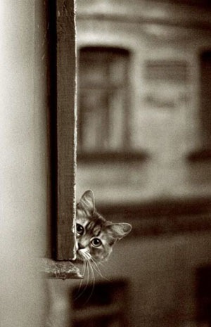 №143, Alice Arslan, 33 года, Bodrum, Турция №143, Alice Arslan, 33 года, Bodrum, Турция