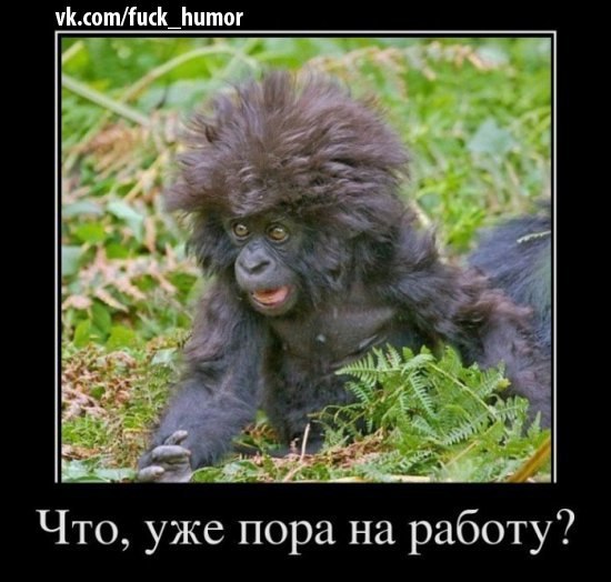 Николай Юмаев | Мурманск