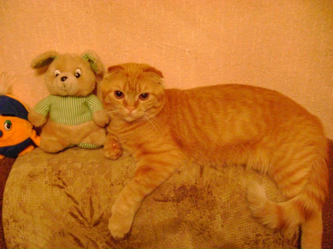 Натали Гаврилюк | Кременчуг