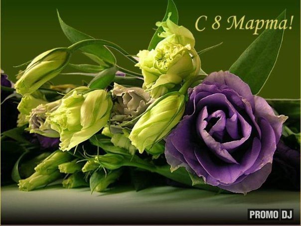 Марина Ершова | Санкт-Петербург