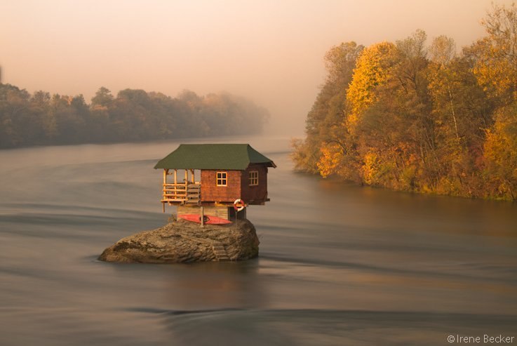 Vetal Dimid ⎞⎠ | Киев