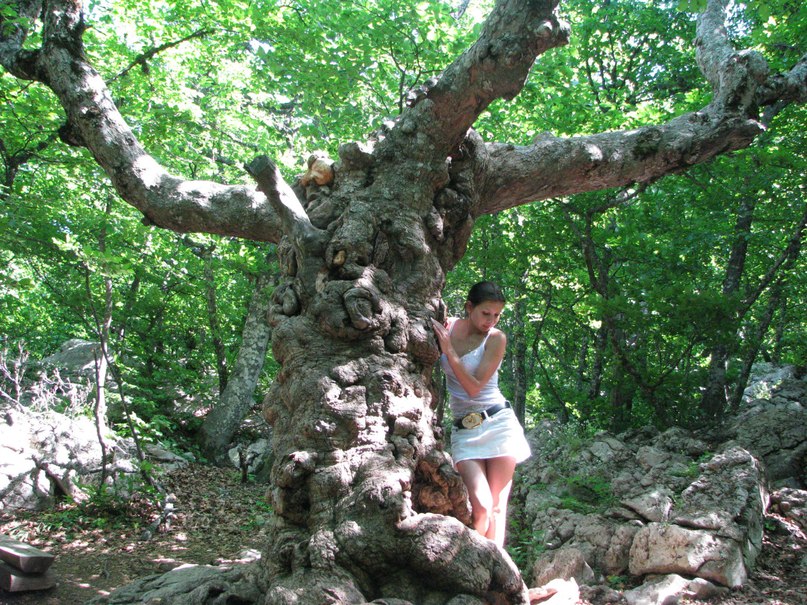 Марина Антоненко | Никополь