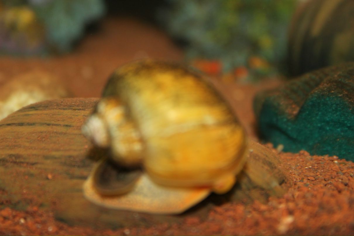 Олег Долгов | Санкт-Петербург