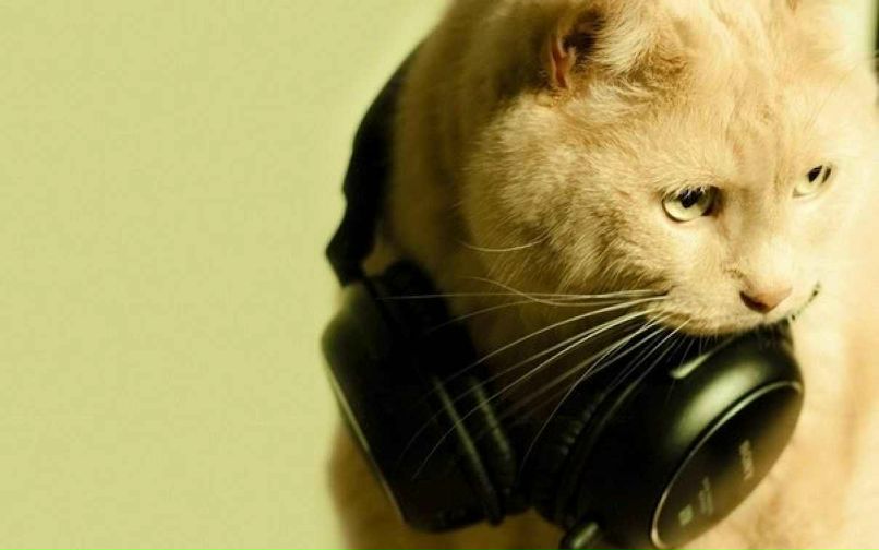 Серёга Лагунов | 