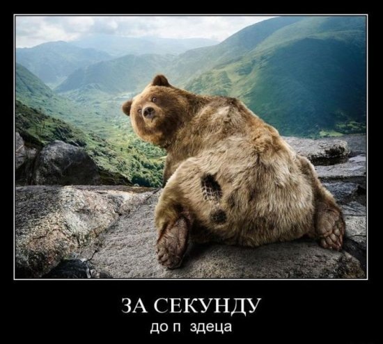 №44, Андрій Васишак, 37 лет, Дрогобыч №44, Андрій Васишак, 37 лет, Дрогобыч