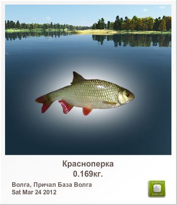 Максим Батыгин | Санкт-Петербург