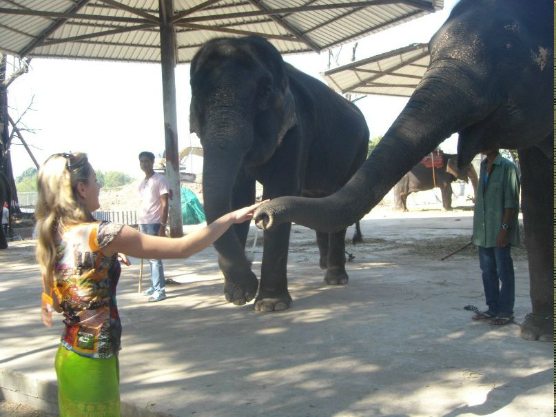 Анна Виленская | Кострома