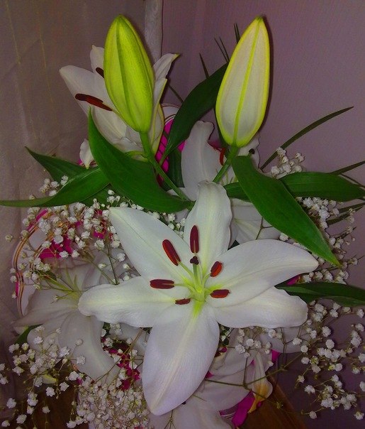 №18, Anna Vavilova, Самара №18, Anna Vavilova, Самара