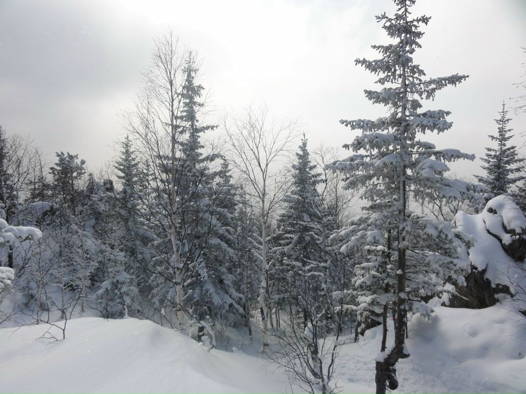 Алексей Настоящий | 