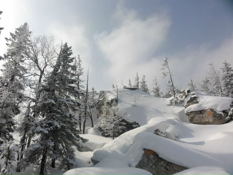 Алексей Настоящий | 