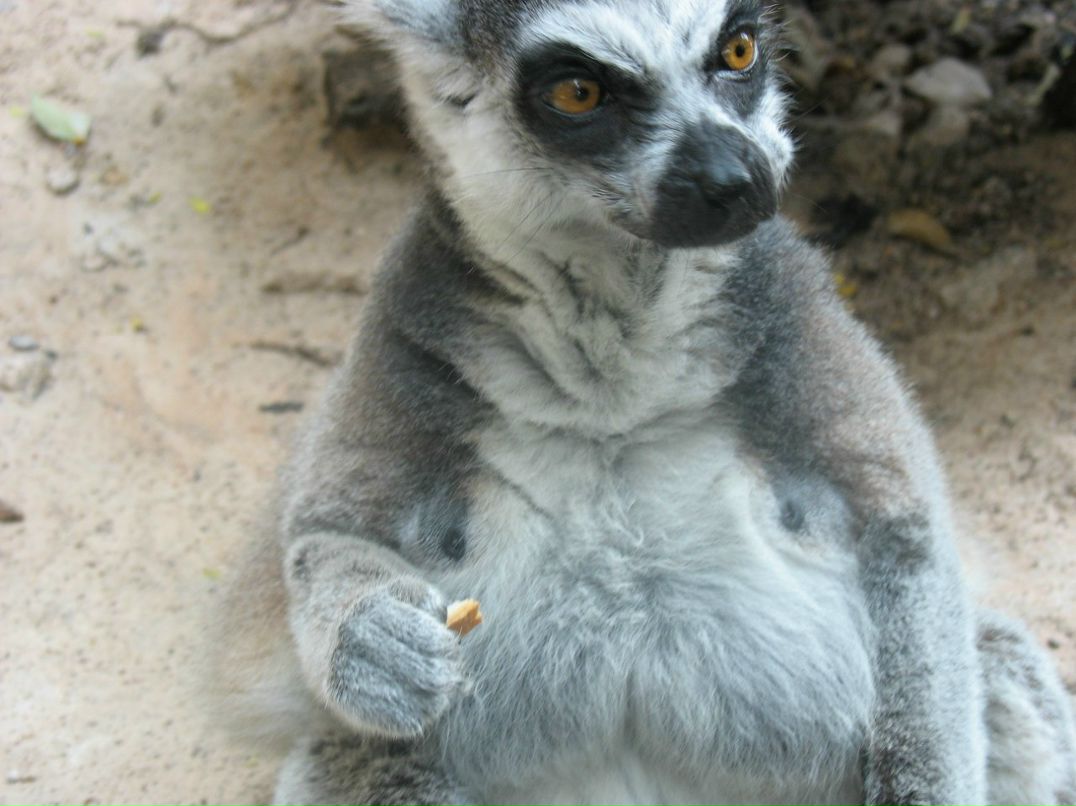 Антон Солодянкин | Москва