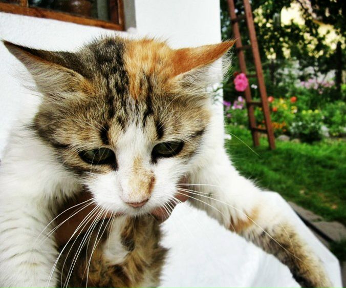 №148, Алина Ратушная, Гомель №148, Алина Ратушная, Гомель