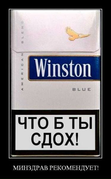 №15, Елизавета Могильницкая №15, Елизавета Могильницкая