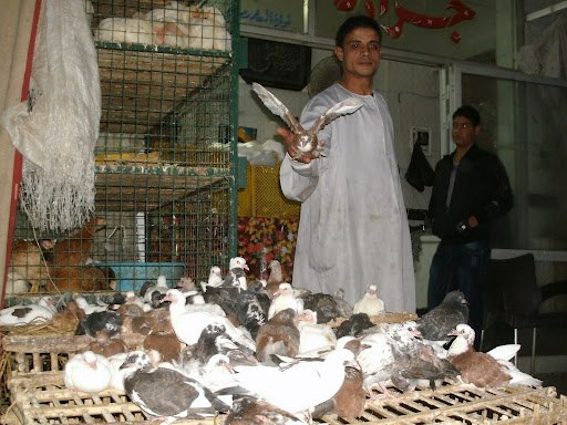 Анна Жадан | Москва