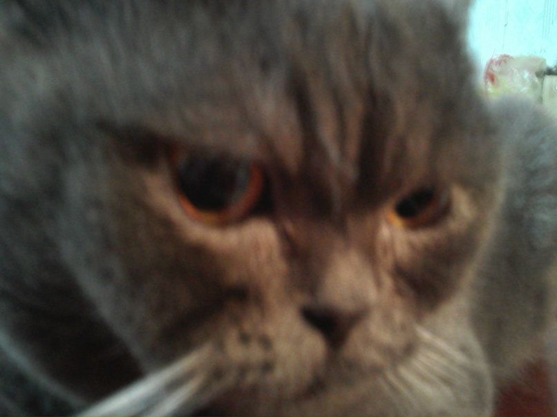 Ира Ибрагимова | Харьков