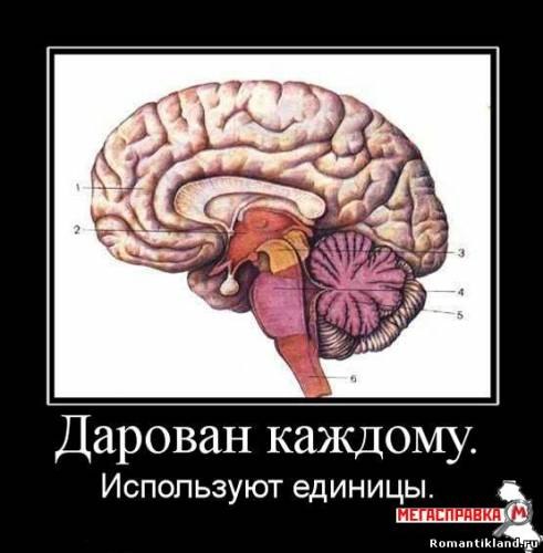 Вася Тегза | Киев