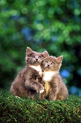 №185, Ирина Полуянова, Москва №185, Ирина Полуянова, Москва