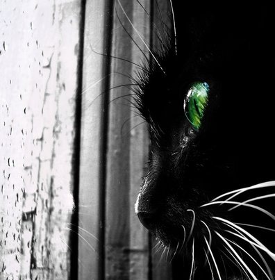 №99, Надежда Гаврилова, 37 лет, Ковров №99, Надежда Гаврилова, 37 лет, Ковров