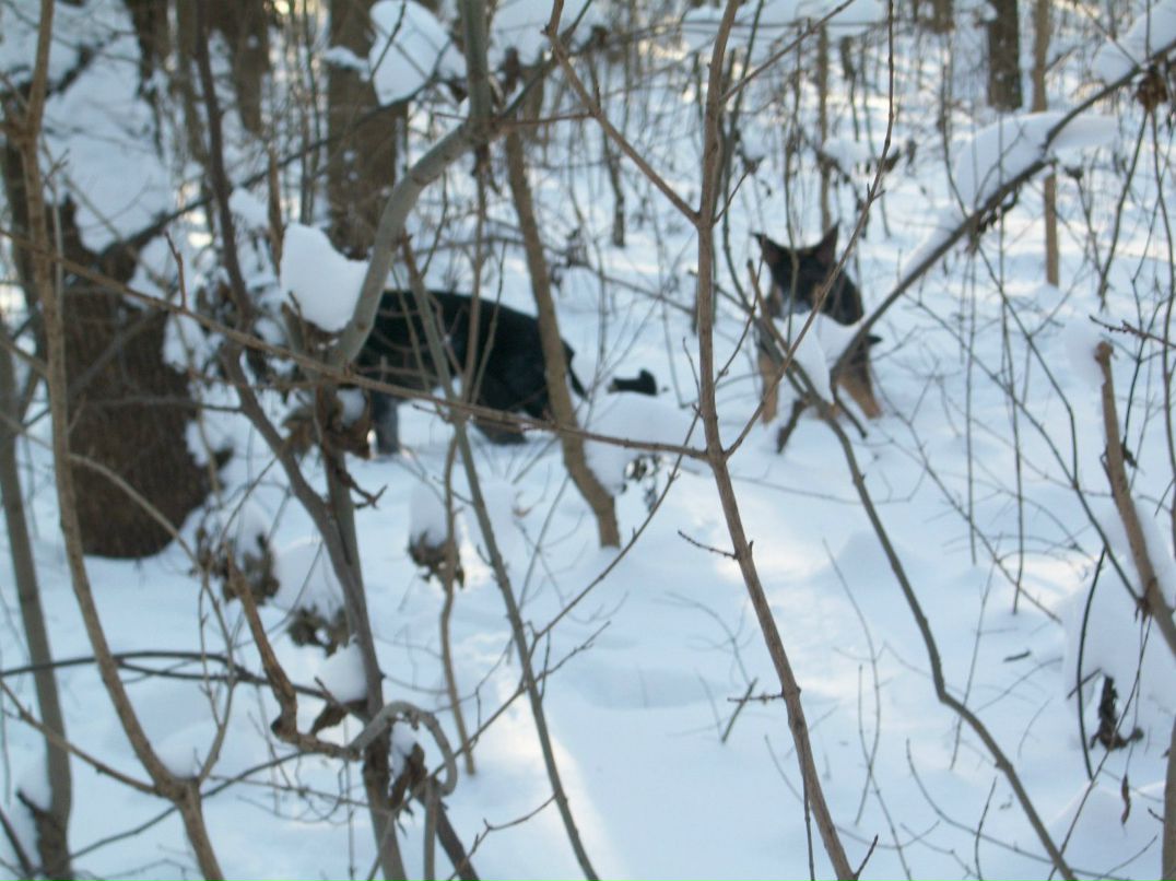 Зинаида Чернышова | Полтава