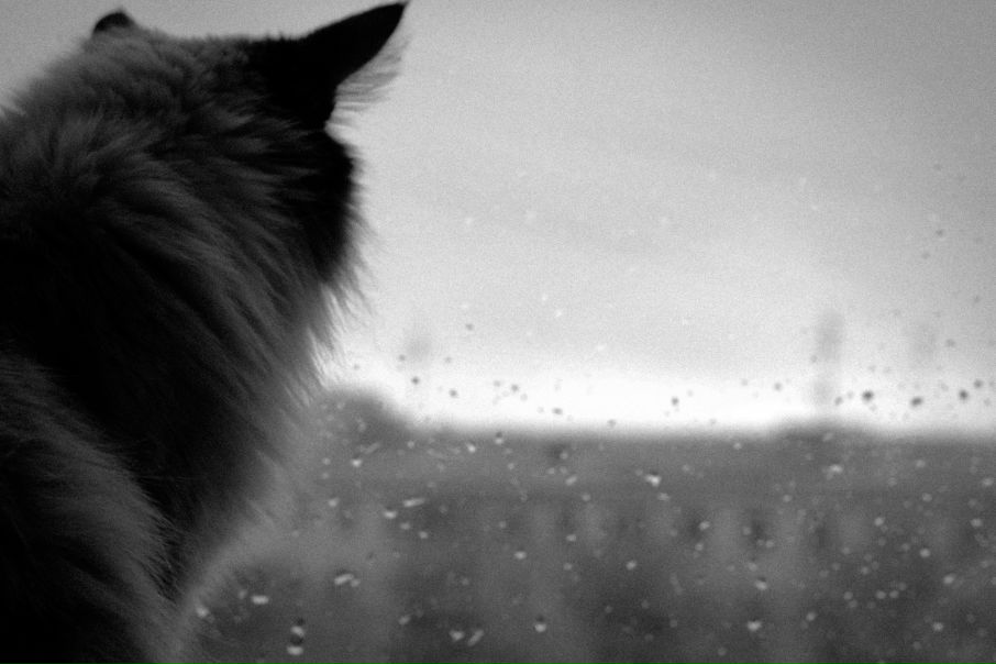 №17, Алексей, 36 лет, Самара №17, Алексей, 36 лет, Самара