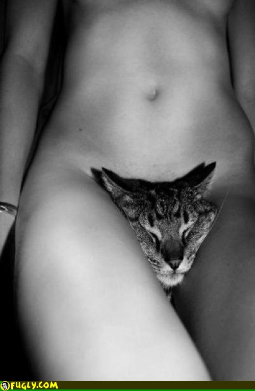 Алексей Соловьев Иванович | Таллин