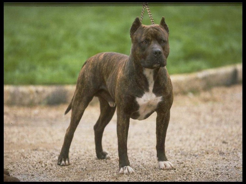 Ваня Ермолаев | Салават