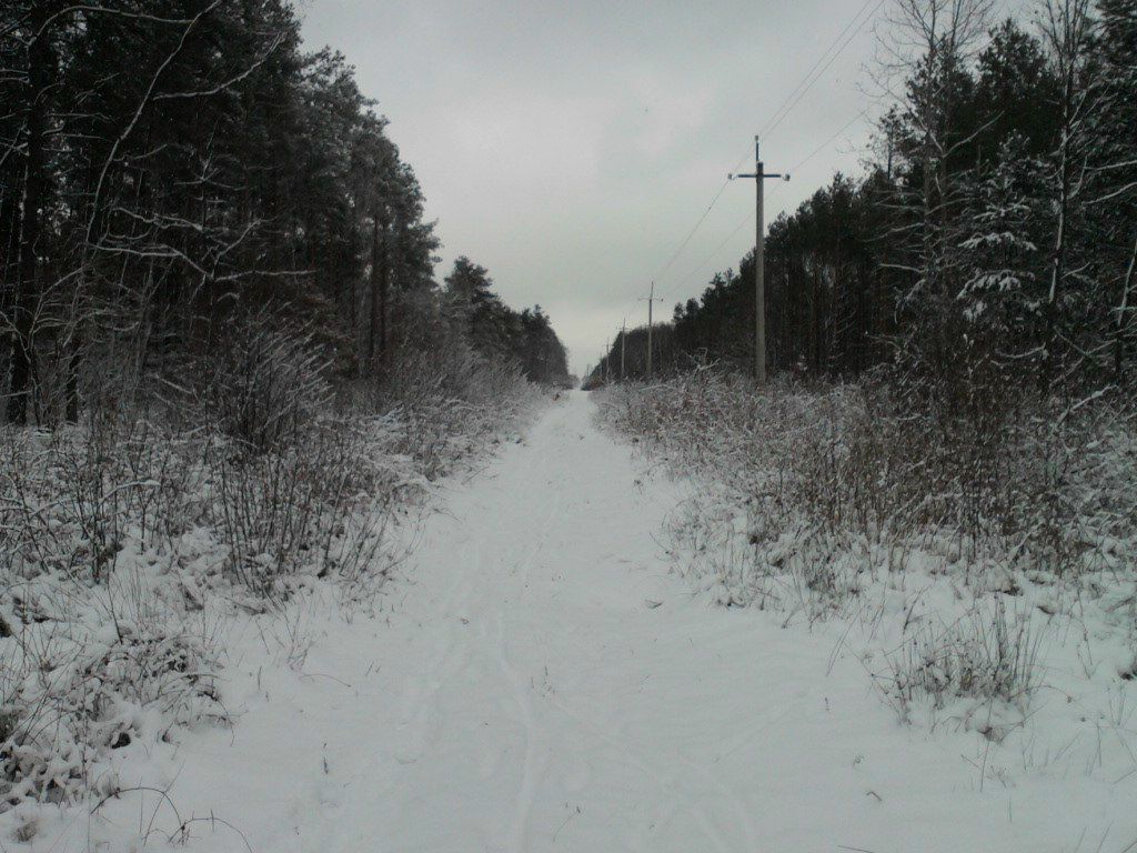 Саша Троянчук | Киверцы