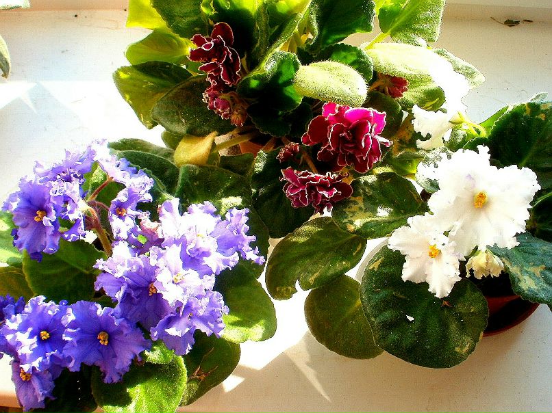 Гульнара Зарипова | Челябинск