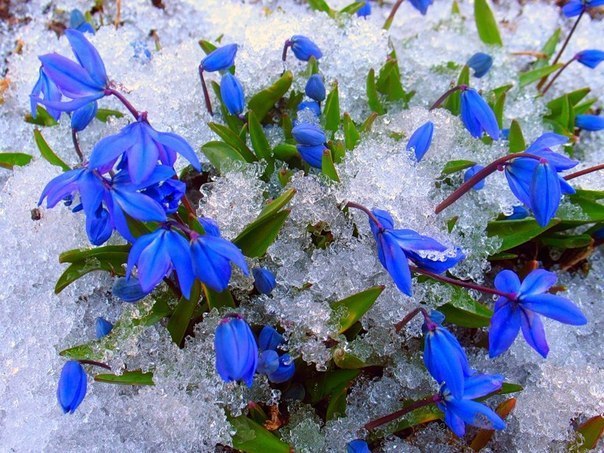 Оксана Михайлова | Санкт-Петербург