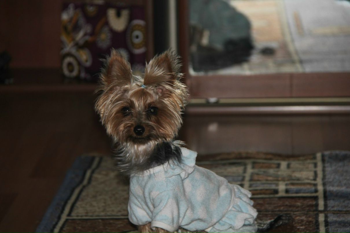 Олеся Гринчак | Москва