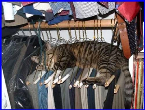 №4, Наташа Любчич, 35 лет, Кагарлык №4, Наташа Любчич, 35 лет, Кагарлык