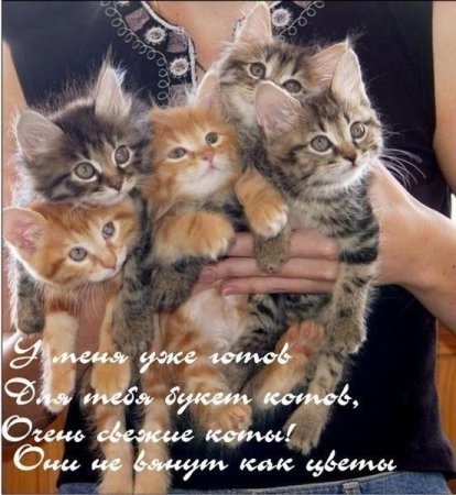 №36, Александра Козич, Брест №36, Александра Козич, Брест