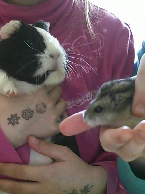 №113, Лиза Кравченя, Санкт-Петербург №113, Лиза Кравченя, Санкт-Петербург