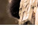 №118, Алина Деревянко, Харьков №118, Алина Деревянко, Харьков